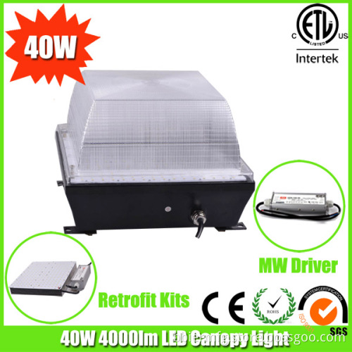 High Power 5years Warranty 40W LED Canopy Retrofit Canopy Lights